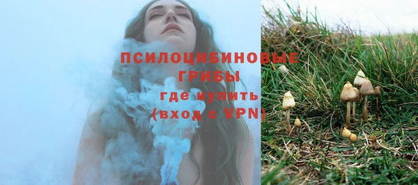 трава Армянск